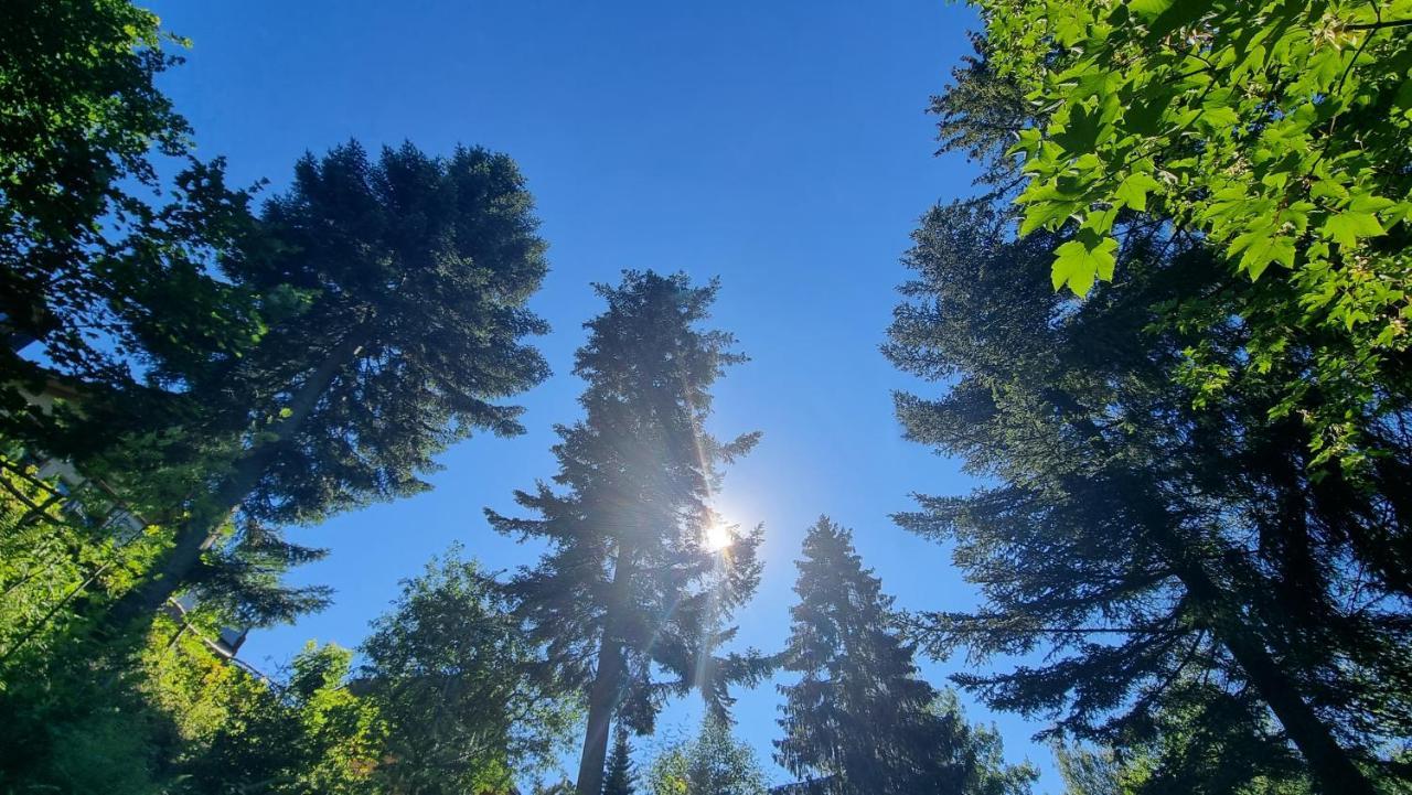 Rezydencja Barrettski Wisła Dış mekan fotoğraf
